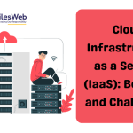 Cloud-Infrastructure-as-a-Service-IaaS-Benefits-and-Challenges